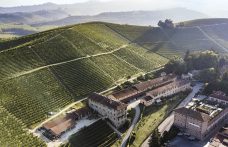 50 anni di storia del vino: Fontanafredda, il valore del terroir una grande intuizione